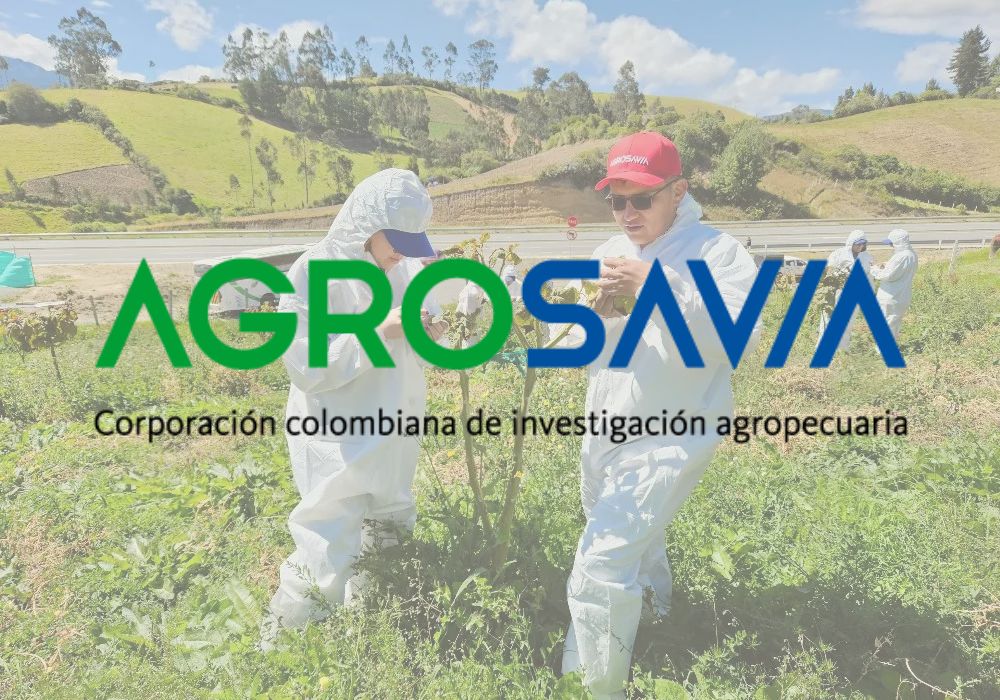 AGROSAVIA ICA Respaldo técnico en fertilizantes orgánicos para cultivos agrícolas en Colombia