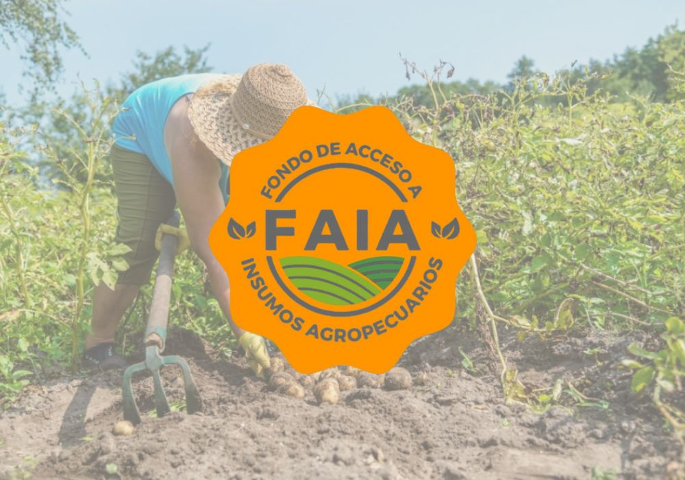 FAIA ICA Respaldo técnico en fertilizantes orgánicos para cultivos agrícolas en Colombia
