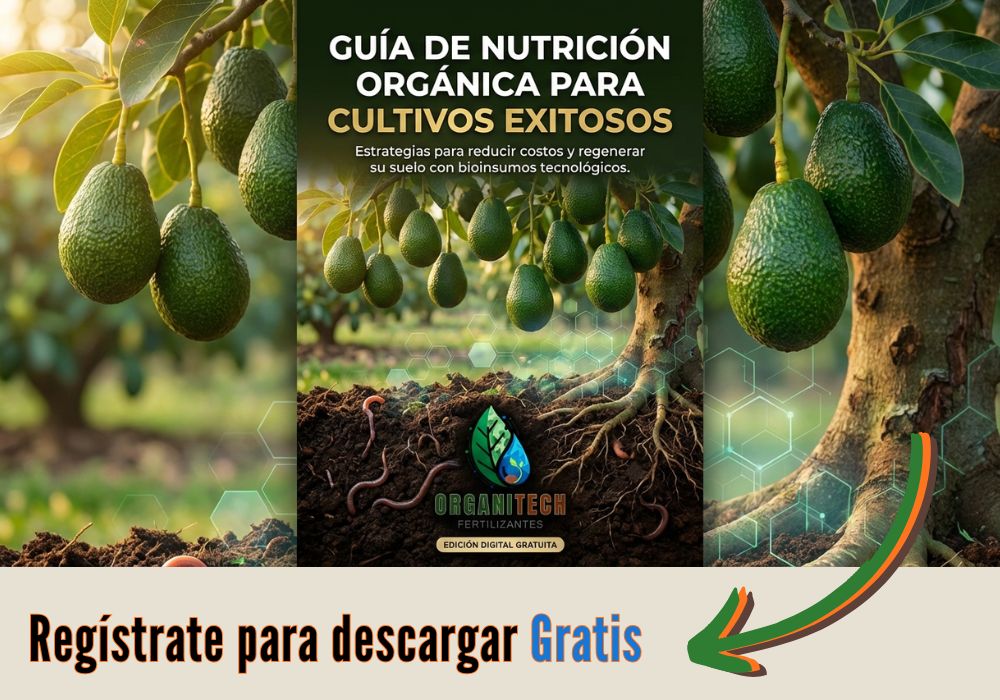 Guía de nutrición Orgánica Portada Guía de Nutrición Orgánica para Cultivos Exitosos - Fertilizantes Organitech con aguacate Hass y suelo fértil