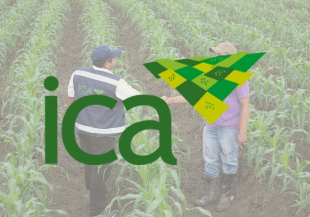 ICA ICA Respaldo técnico en fertilizantes orgánicos para cultivos agrícolas en Colombia