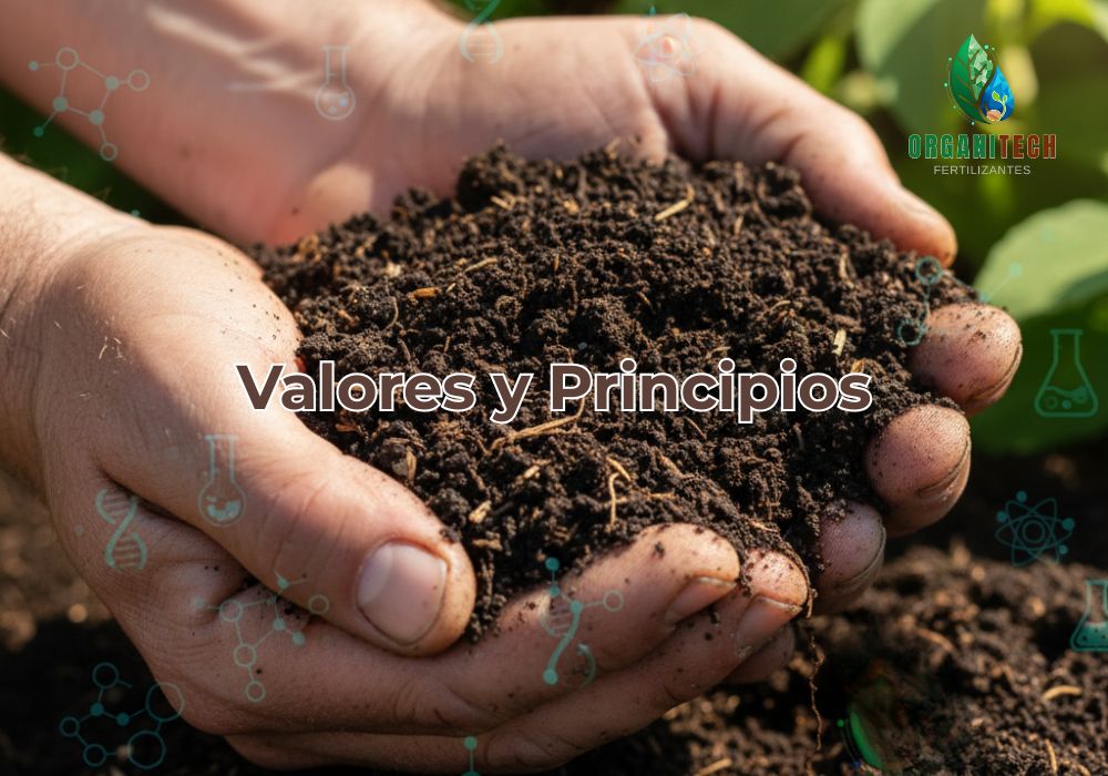Valores y Principios Organitech innovando con Agricultura Regenerativa en Santander